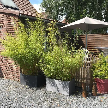 Daire L'atelier Des Thermes